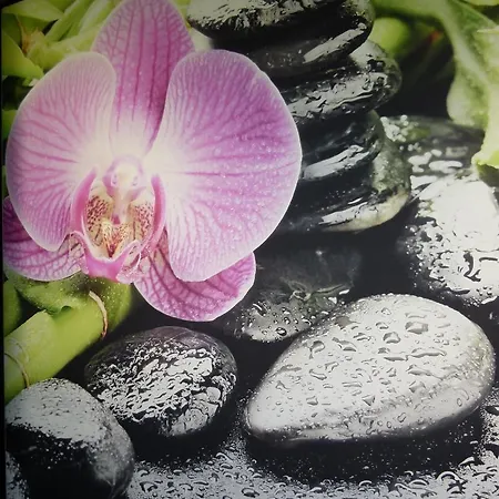 Boutique Bel Sito Wellness & Private מלון ברדולינו