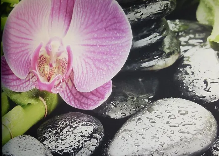 Boutique Bel Sito Wellness & Private Hotell Bardolino